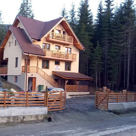Hotel Vidra Parc Voineasa Exteriér fotografie