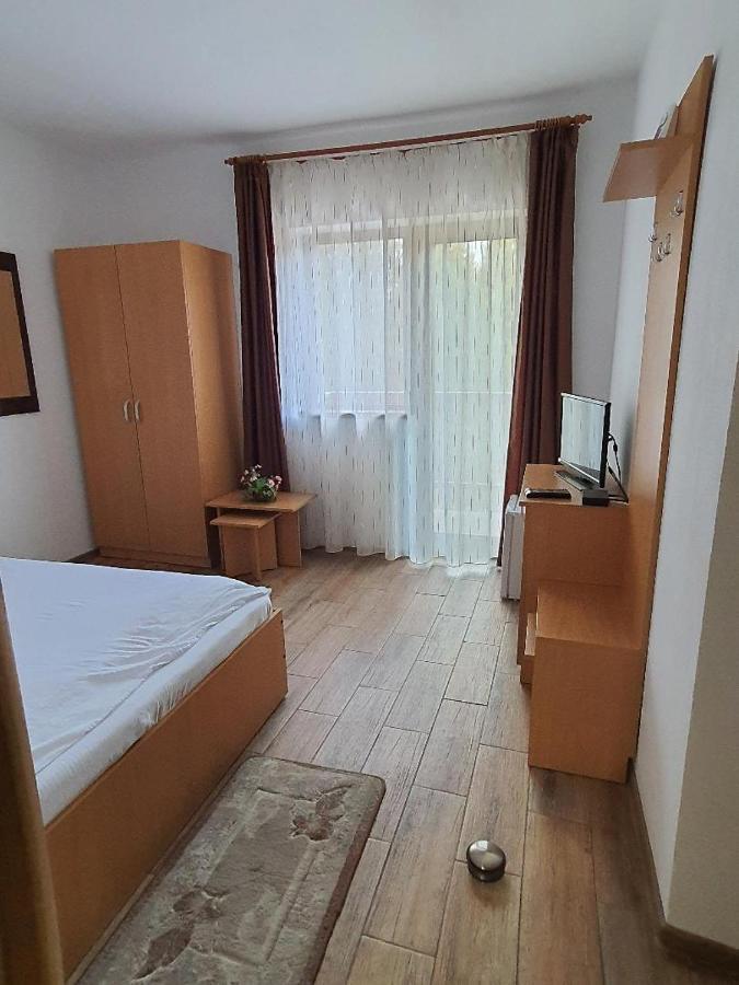 Hotel Vidra Parc Voineasa Exteriér fotografie