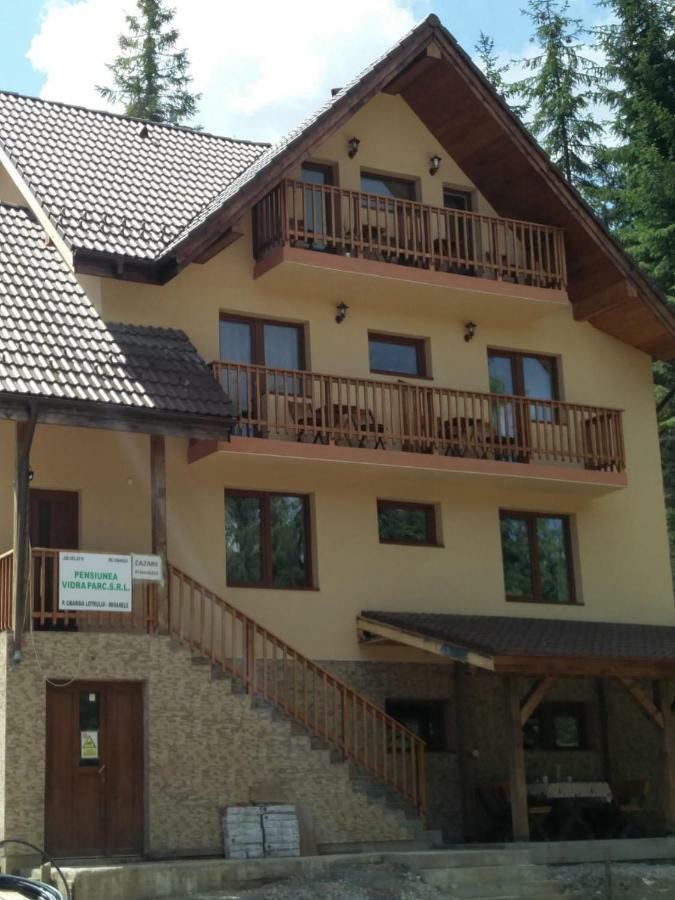 Hotel Vidra Parc Voineasa Exteriér fotografie