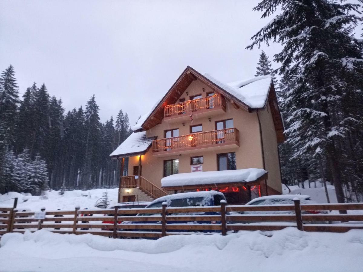 Hotel Vidra Parc Voineasa Exteriér fotografie