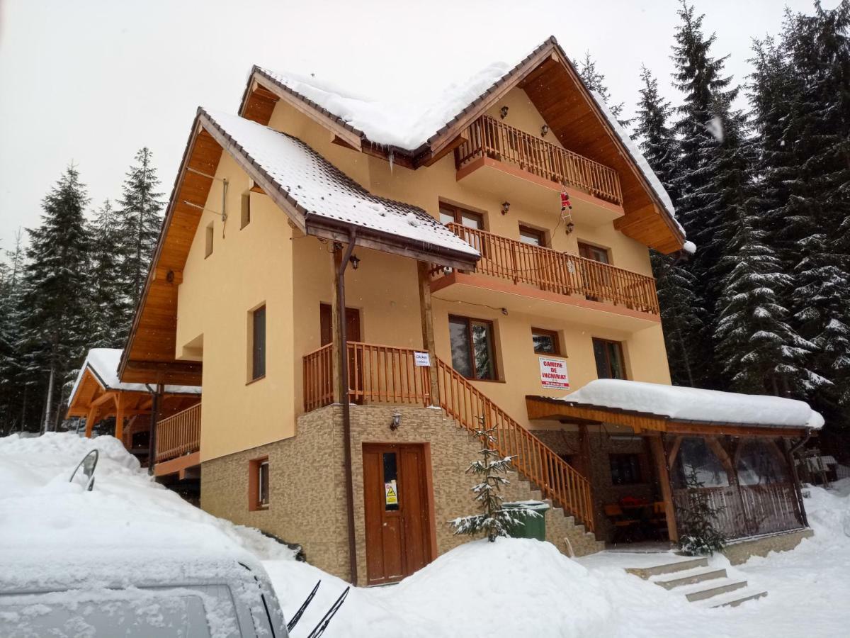 Hotel Vidra Parc Voineasa Exteriér fotografie